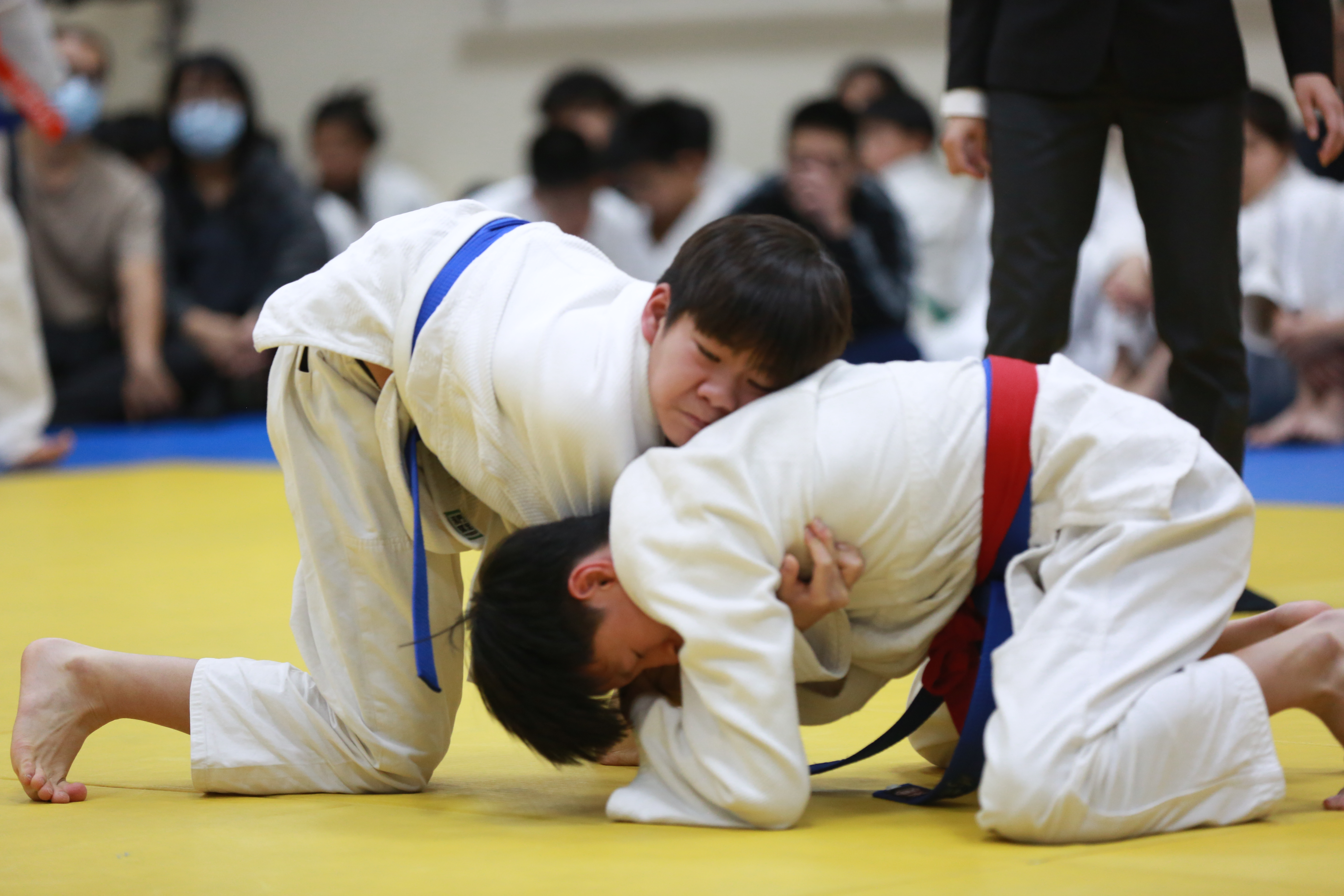 2026全澳柔道計分賽圓滿落幕